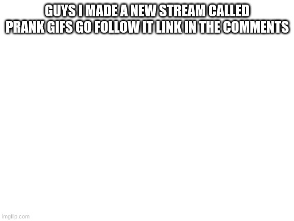 Blank White Template | GUYS I MADE A NEW STREAM CALLED PRANK GIFS GO FOLLOW IT LINK IN THE COMMENTS | image tagged in blank white template | made w/ Imgflip meme maker