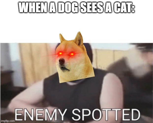 I had no other subject to post in but it is cats and dogs not just cats. | WHEN A DOG SEES A CAT: | image tagged in yeet | made w/ Imgflip meme maker