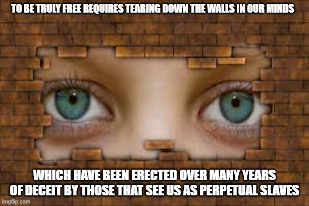 Walls in our minds | TO BE TRULY FREE REQUIRES TEARING DOWN THE WALLS IN OUR MINDS; WHICH HAVE BEEN ERECTED OVER MANY YEARS OF DECEIT BY THOSE THAT SEE US AS PERPETUAL SLAVES | image tagged in change my mind | made w/ Imgflip meme maker