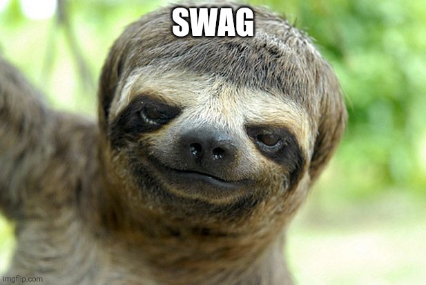 swag sloth with haircut | SWAG | image tagged in swag sloth with haircut | made w/ Imgflip meme maker