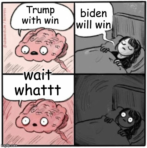 Brain Before Sleep | biden will win; Trump with win; wait whattt | image tagged in brain before sleep | made w/ Imgflip meme maker