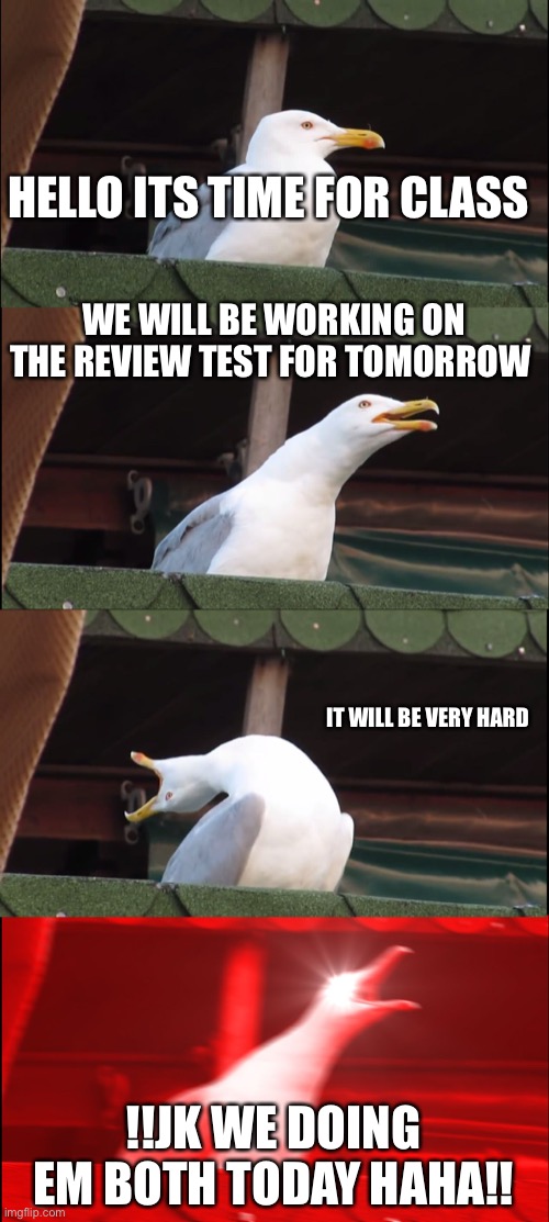Inhaling Seagull Meme | HELLO ITS TIME FOR CLASS; WE WILL BE WORKING ON THE REVIEW TEST FOR TOMORROW; IT WILL BE VERY HARD; !!JK WE DOING EM BOTH TODAY HAHA!! | image tagged in memes,inhaling seagull,i hate school | made w/ Imgflip meme maker