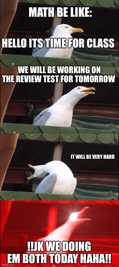 Math is hard | MATH BE LIKE:; HELLO ITS TIME FOR CLASS; WE WILL BE WORKING ON THE REVIEW TEST FOR TOMORROW; IT WILL BE VERY HARD; !!JK WE DOING EM BOTH TODAY HAHA!! | image tagged in memes,inhaling seagull | made w/ Imgflip meme maker