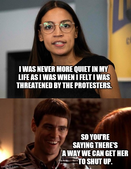  I WAS NEVER MORE QUIET IN MY 
LIFE AS I WAS WHEN I FELT I WAS
THREATENED BY THE PROTESTERS. SO YOU'RE SAYING THERE'S
A WAY WE CAN GET HER
TO SHUT UP. | image tagged in aoc is stupid even with glasses,so you're saying there's a chance | made w/ Imgflip meme maker