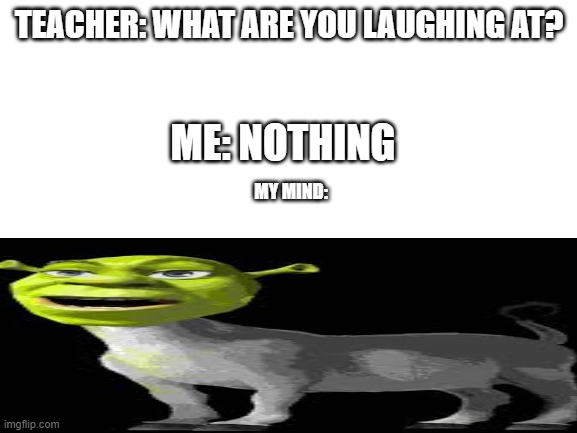 shrek and donkey + konky shrek | TEACHER: WHAT ARE YOU LAUGHING AT? ME: NOTHING; MY MIND: | image tagged in blank white template | made w/ Imgflip meme maker