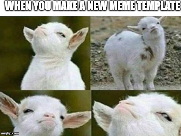 my new meme template | WHEN YOU MAKE A NEW MEME TEMPLATE | image tagged in victory,memes,new template | made w/ Imgflip meme maker