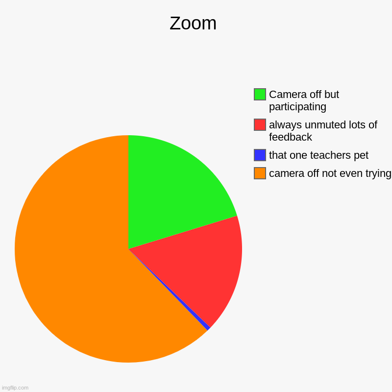 Zoom | camera off not even trying , that one teachers pet, always unmuted lots of feedback, Camera off but participating | image tagged in charts,pie charts | made w/ Imgflip chart maker