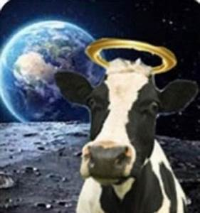 High Quality holy cow that's out of this world Blank Meme Template