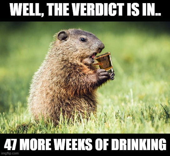 GH Day | WELL, THE VERDICT IS IN.. 47 MORE WEEKS OF DRINKING | image tagged in groundhog day | made w/ Imgflip meme maker