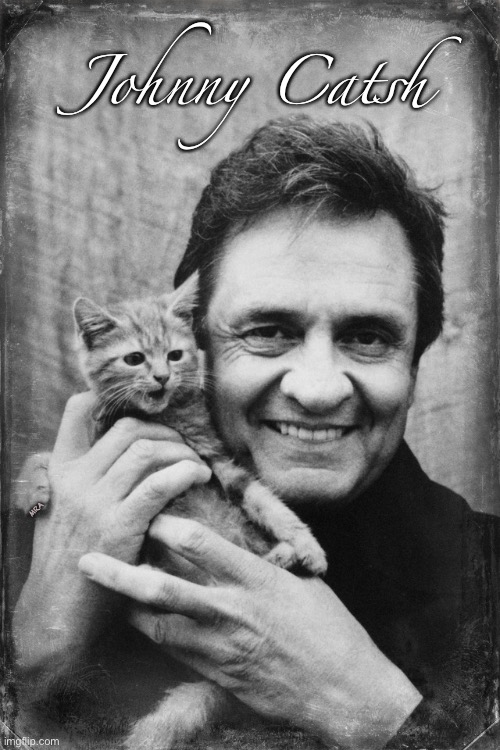 Johnny Cash Cat | Johnny Catsh; MRA | image tagged in johnny cash cat | made w/ Imgflip meme maker