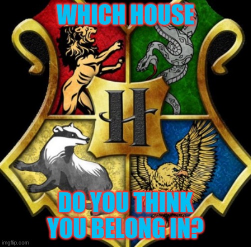 WHICH HOUSE; DO YOU THINK YOU BELONG IN? | made w/ Imgflip meme maker