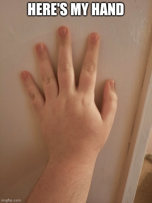 HERE'S MY HAND | made w/ Imgflip meme maker