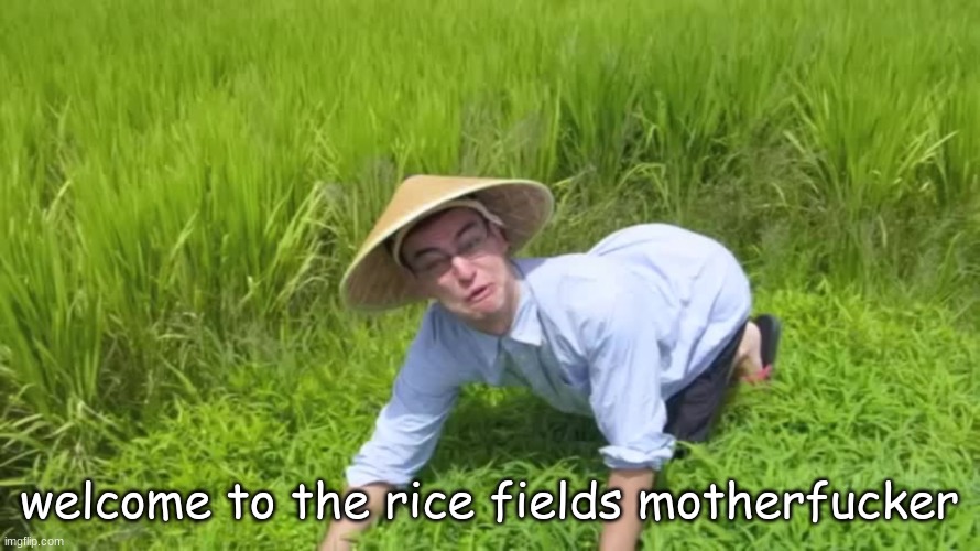 WELCOME TO THE RICE FIELDS | welcome to the rice fields motherfucker | image tagged in welcome to the rice fields | made w/ Imgflip meme maker