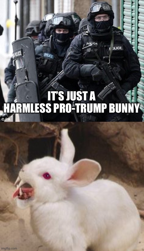 Holy Grail | IT’S JUST A HARMLESS PRO-TRUMP BUNNY | image tagged in cliche police,memes | made w/ Imgflip meme maker