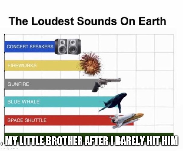 The Loudest Sounds on Earth | MY LITTLE BROTHER AFTER I BARELY HIT HIM | image tagged in the loudest sounds on earth | made w/ Imgflip meme maker