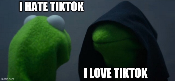 Evil Kermit | I HATE TIKTOK; I LOVE TIKTOK | image tagged in memes,evil kermit | made w/ Imgflip meme maker