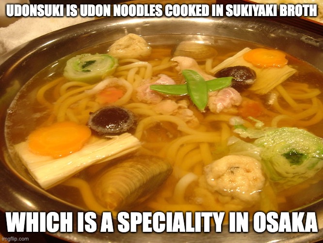 Udonsuki | UDONSUKI IS UDON NOODLES COOKED IN SUKIYAKI BROTH; WHICH IS A SPECIALITY IN OSAKA | image tagged in noodles,udon,food,memes | made w/ Imgflip meme maker
