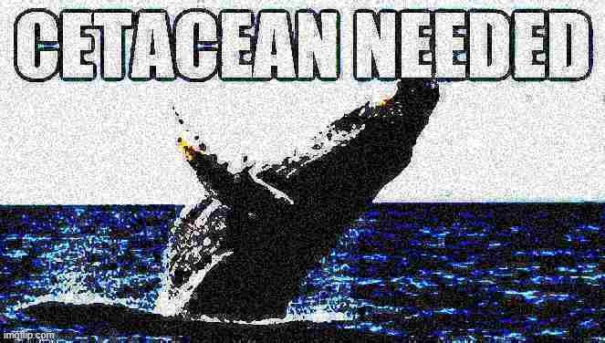 Cetacean needed deep-fried | image tagged in cetacean needed deep-fried,whale,whales,deep fried,debate,argument | made w/ Imgflip meme maker