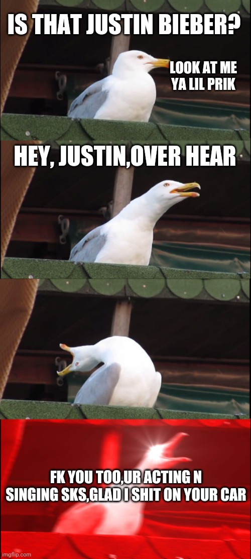 Inhaling Seagull | IS THAT JUSTIN BIEBER? LOOK AT ME YA LIL PRIK; HEY, JUSTIN,OVER HEAR; FK YOU TOO,UR ACTING N SINGING SKS,GLAD I SHIT ON YOUR CAR | image tagged in memes,inhaling seagull | made w/ Imgflip meme maker