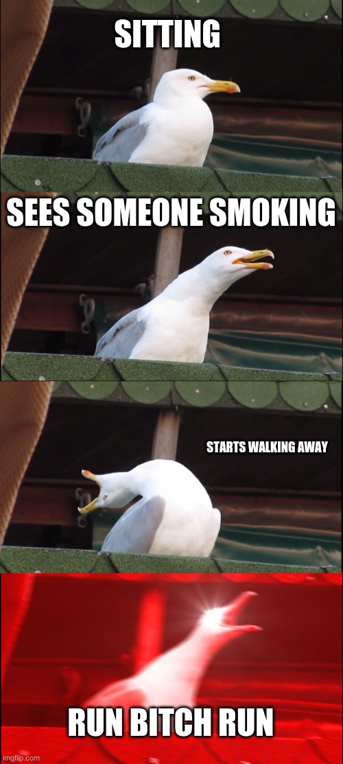 Inhaling Seagull | SITTING; SEES SOMEONE SMOKING; STARTS WALKING AWAY; RUN BITCH RUN | image tagged in memes,inhaling seagull | made w/ Imgflip meme maker