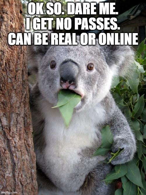 Surprised Koala Meme | OK SO. DARE ME. I GET NO PASSES. CAN BE REAL OR ONLINE | image tagged in memes,surprised koala | made w/ Imgflip meme maker