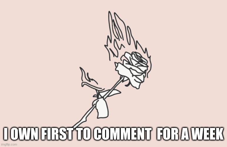 if anyone comments i own them xD | I OWN FIRST TO COMMENT  FOR A WEEK | image tagged in burning rose | made w/ Imgflip meme maker
