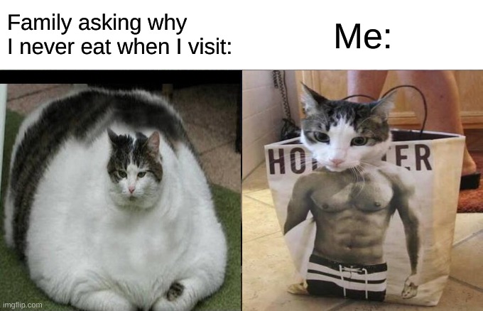 Woman Yelling At Cat Meme | Family asking why I never eat when I visit:; Me: | image tagged in memes,woman yelling at cat | made w/ Imgflip meme maker