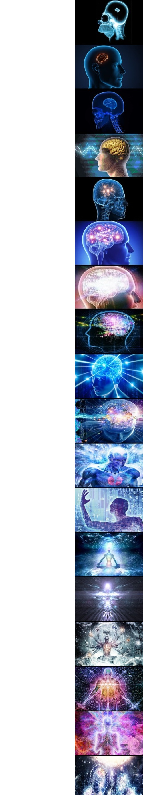 Expanding brain extended Blank Meme Template