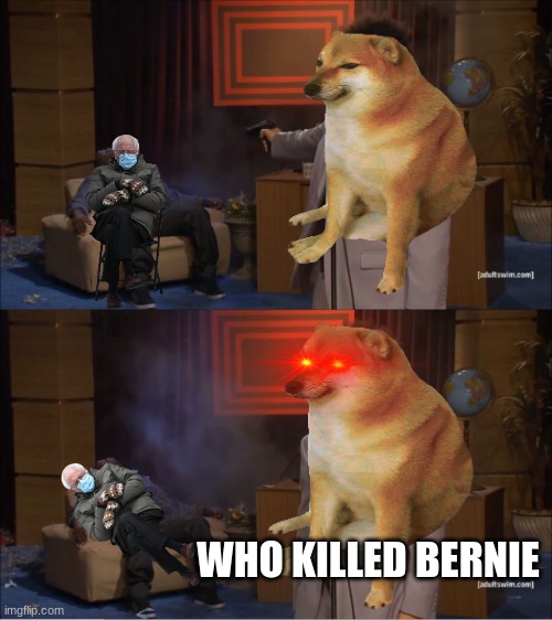 meme | WHO KILLED BERNIE | image tagged in memes,who killed hannibal | made w/ Imgflip meme maker