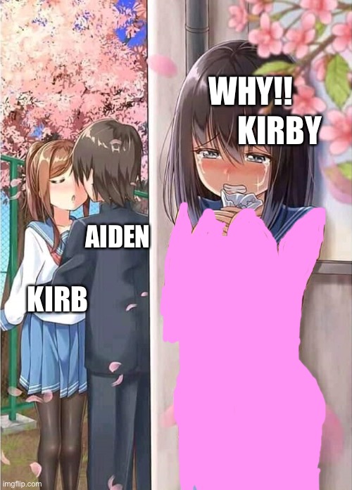Anime crush | WHY!! KIRB AIDEN KIRBY | image tagged in anime crush | made w/ Imgflip meme maker