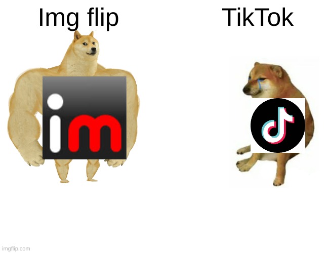 Buff Doge vs. Cheems | Img flip; TikTok | image tagged in memes,buff doge vs cheems | made w/ Imgflip meme maker