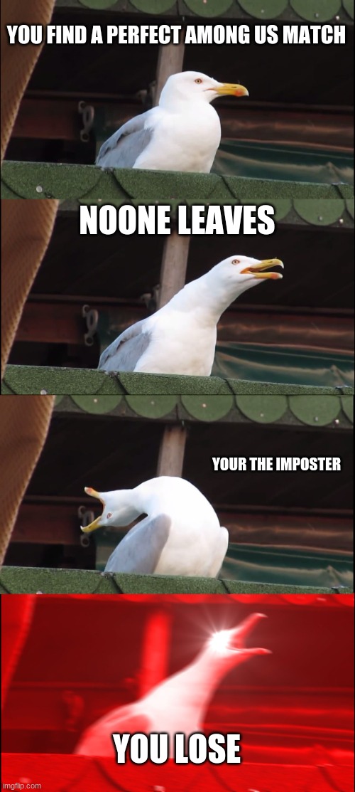 Inhaling Seagull Meme | YOU FIND A PERFECT AMONG US MATCH; NOONE LEAVES; YOUR THE IMPOSTER; YOU LOSE | image tagged in memes,inhaling seagull | made w/ Imgflip meme maker