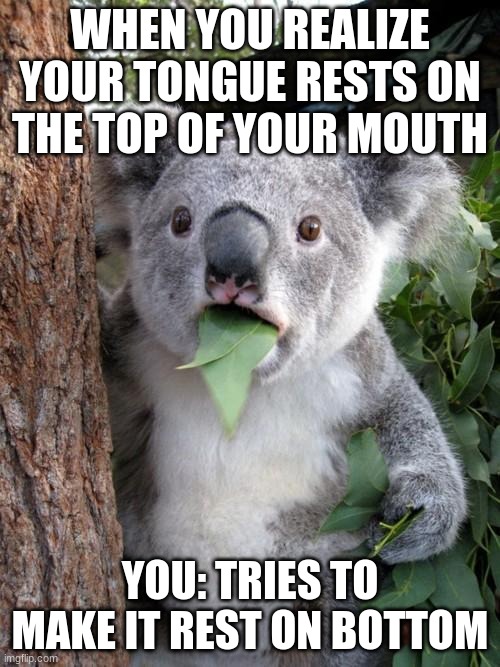 Surprised Koala Meme | WHEN YOU REALIZE YOUR TONGUE RESTS ON THE TOP OF YOUR MOUTH; YOU: TRIES TO MAKE IT REST ON BOTTOM | image tagged in memes,surprised koala | made w/ Imgflip meme maker