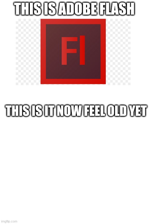 true story | THIS IS ADOBE FLASH; THIS IS IT NOW FEEL OLD YET | image tagged in blank white template | made w/ Imgflip meme maker