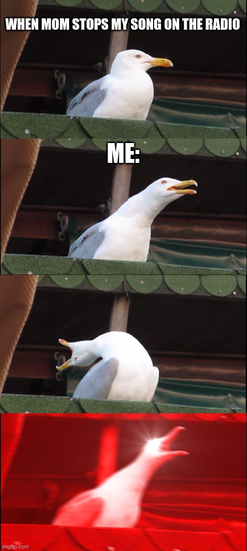 Inhaling Seagull | WHEN MOM STOPS MY SONG ON THE RADIO; ME: | image tagged in memes,inhaling seagull | made w/ Imgflip meme maker