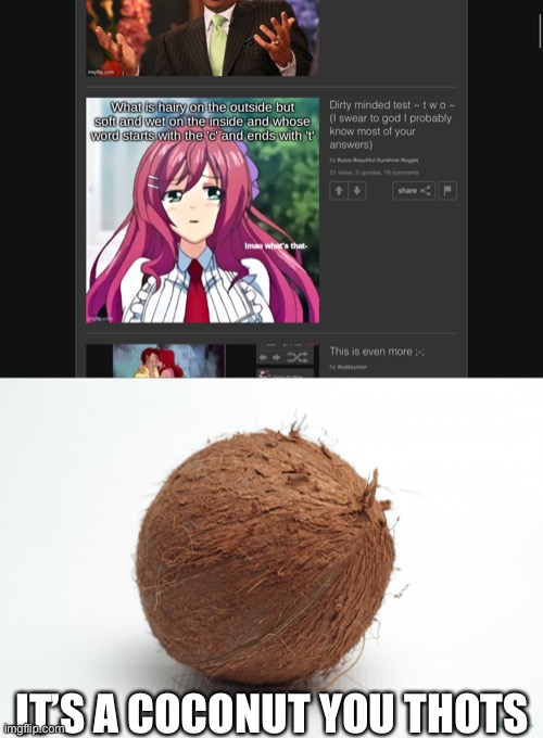 IT’S A COCONUT YOU THOTS | image tagged in coconut | made w/ Imgflip meme maker