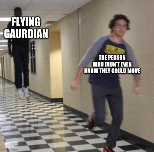 floating boy chasing running boy | FLYING GAURDIAN THE PERSON WHO DIDN'T EVEN KNOW THEY COULD MOVE | image tagged in floating boy chasing running boy | made w/ Imgflip meme maker