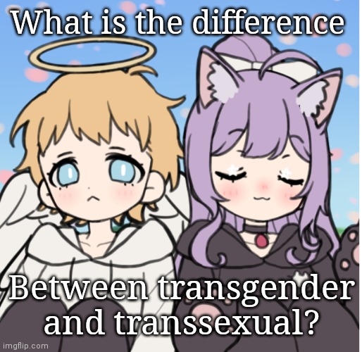 ????? | What is the difference; Between transgender and transsexual? | image tagged in pleasssss halp mehh | made w/ Imgflip meme maker