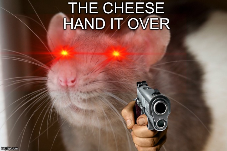 CHEESE RAT | THE CHEESE
HAND IT OVER | image tagged in memes | made w/ Imgflip meme maker