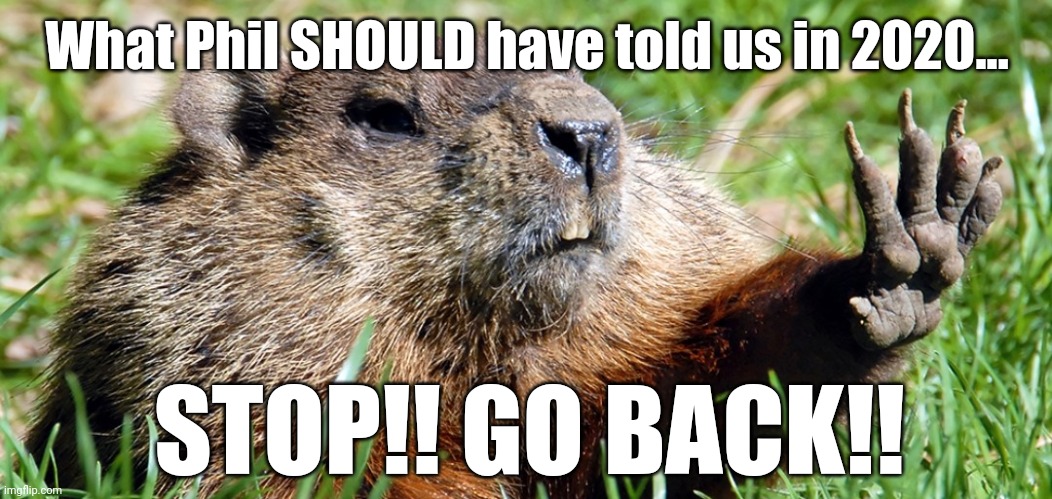 Punxsutawney Phil in retrospect... | What Phil SHOULD have told us in 2020... STOP!! GO BACK!! | image tagged in punxsutawney phil | made w/ Imgflip meme maker