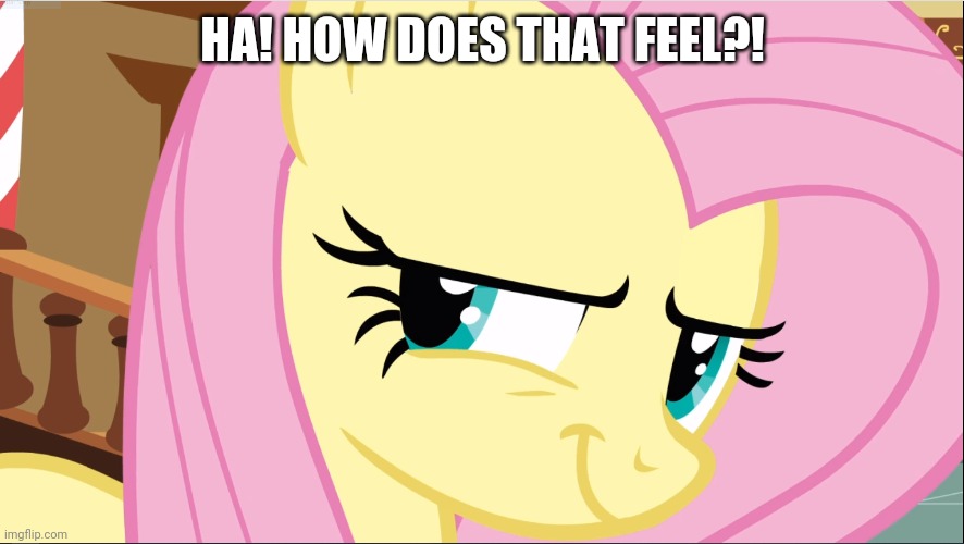 Evil Fluttershy (MLP) | HA! HOW DOES THAT FEEL?! | image tagged in evil fluttershy mlp | made w/ Imgflip meme maker