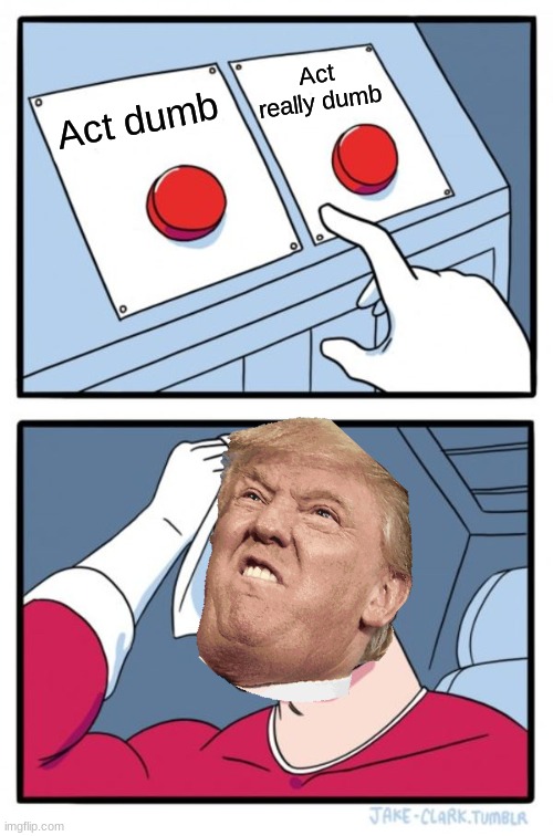 The trump Problems | Act really dumb; Act dumb | image tagged in memes,two buttons | made w/ Imgflip meme maker