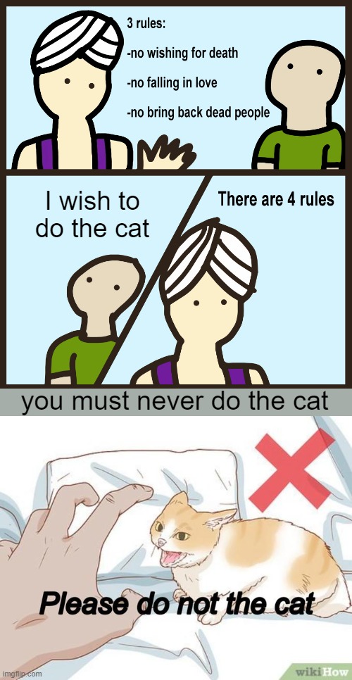 Do not the cat...please | I wish to do the cat; you must never do the cat | image tagged in wish,genie rules meme,cats | made w/ Imgflip meme maker