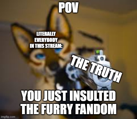 POV; LITERALLY EVERYBODY IN THIS STREAM:; THE TRUTH; YOU JUST INSULTED THE FURRY FANDOM | made w/ Imgflip meme maker