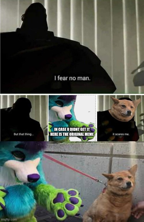 Furry scares dog | IN CASE U DIDNT GET IT HERE IS THE ORIGINAL MEME | image tagged in furrys,furries,scare,dog,doge,memes | made w/ Imgflip meme maker