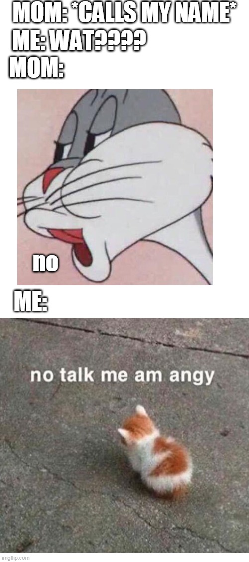 Blank White Template | MOM: *CALLS MY NAME*; ME: WAT???? MOM:; no; ME: | image tagged in blank white template,angry,y u no,mom,one does not simply | made w/ Imgflip meme maker
