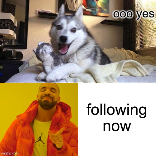 ooo yes following now | made w/ Imgflip meme maker