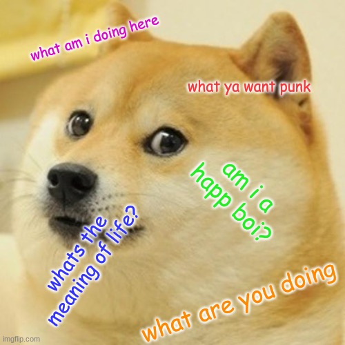 doge's thaught's | what am i doing here; what ya want punk; am i a happ boi? whats the meaning of life? what are you doing | image tagged in memes,doge | made w/ Imgflip meme maker