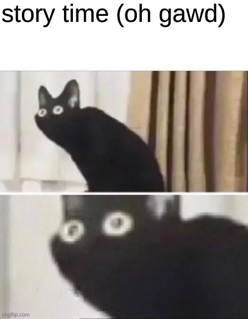 oh no | story time (oh gawd) | image tagged in oh no black cat | made w/ Imgflip meme maker