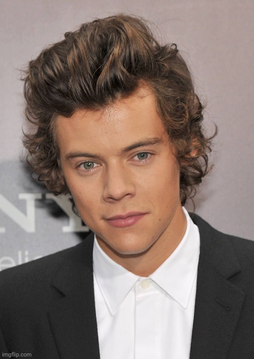 HE'S SO HOTTTTTTTTTTT AAAAAHHHHHHHHHH | made w/ Imgflip meme maker